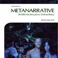 Metanarrative book cover